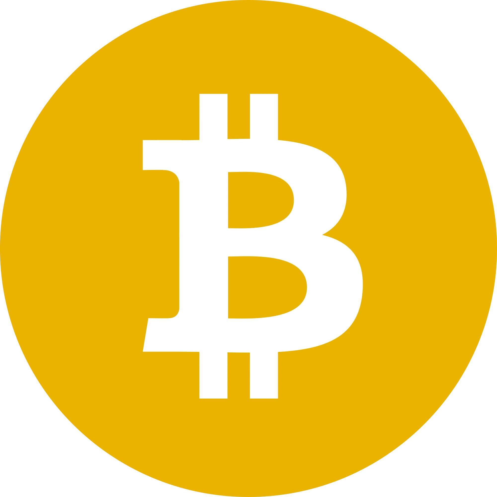 BitcoinSV icon
